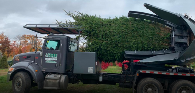 Equipment | Treemendous Trees